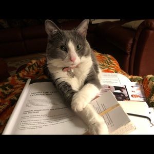 Meet your Posher, Molly